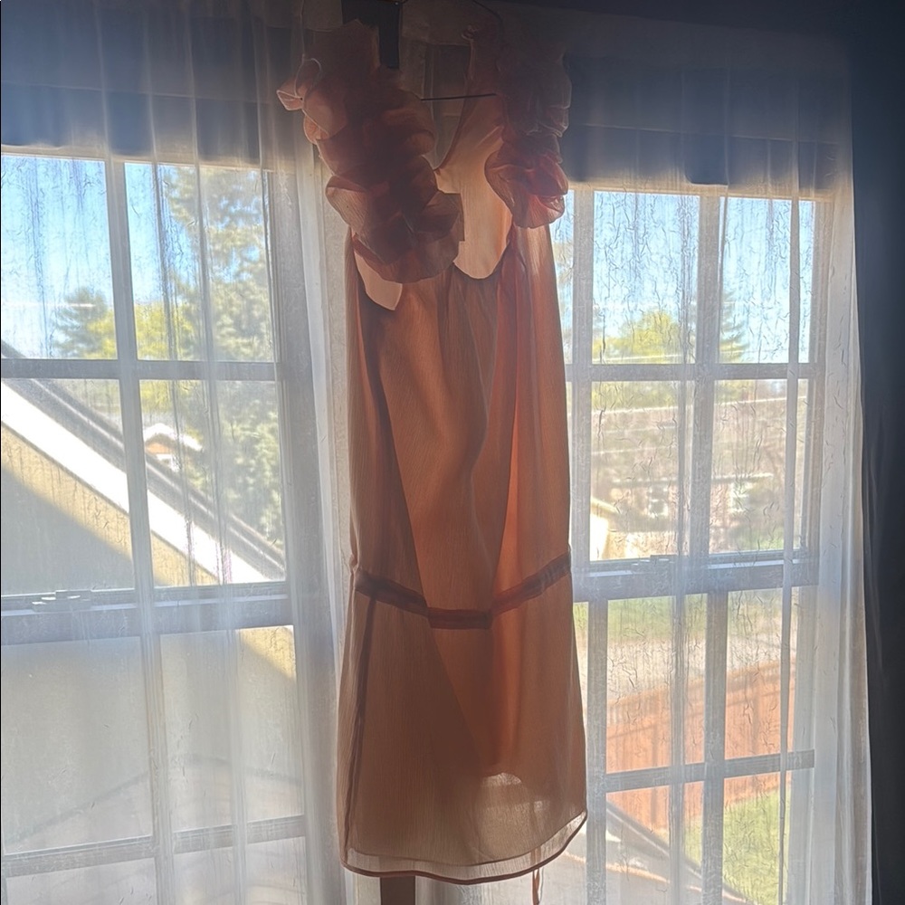 Thread Social Peach Ruffle Mini Dress